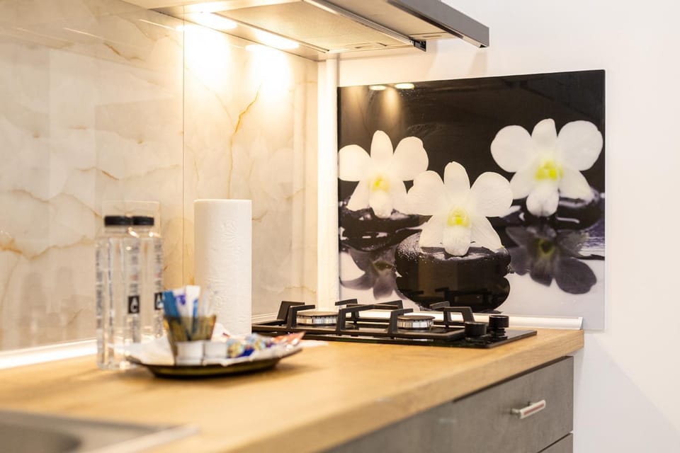 Coffee/tea facilities, Kitchen or kitchenette, stove