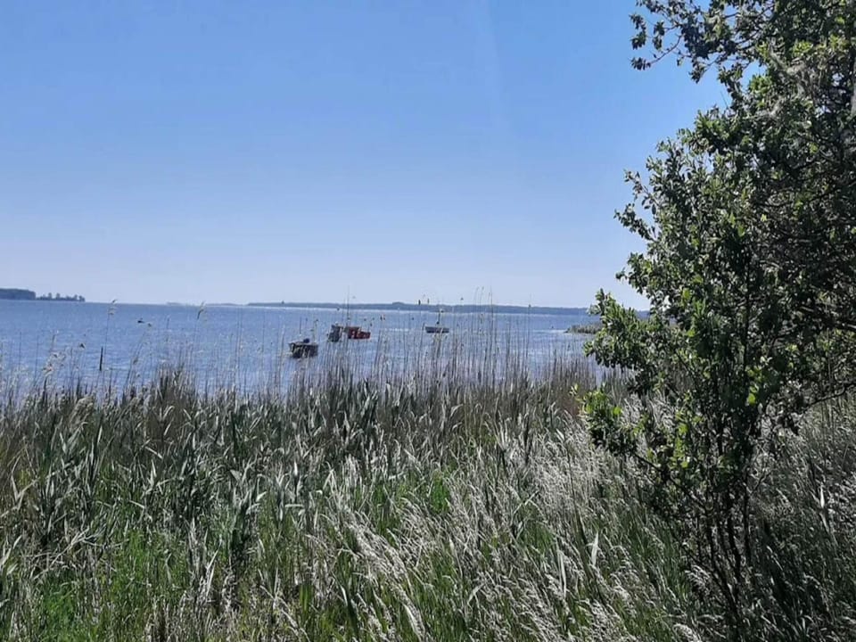 Lake view
