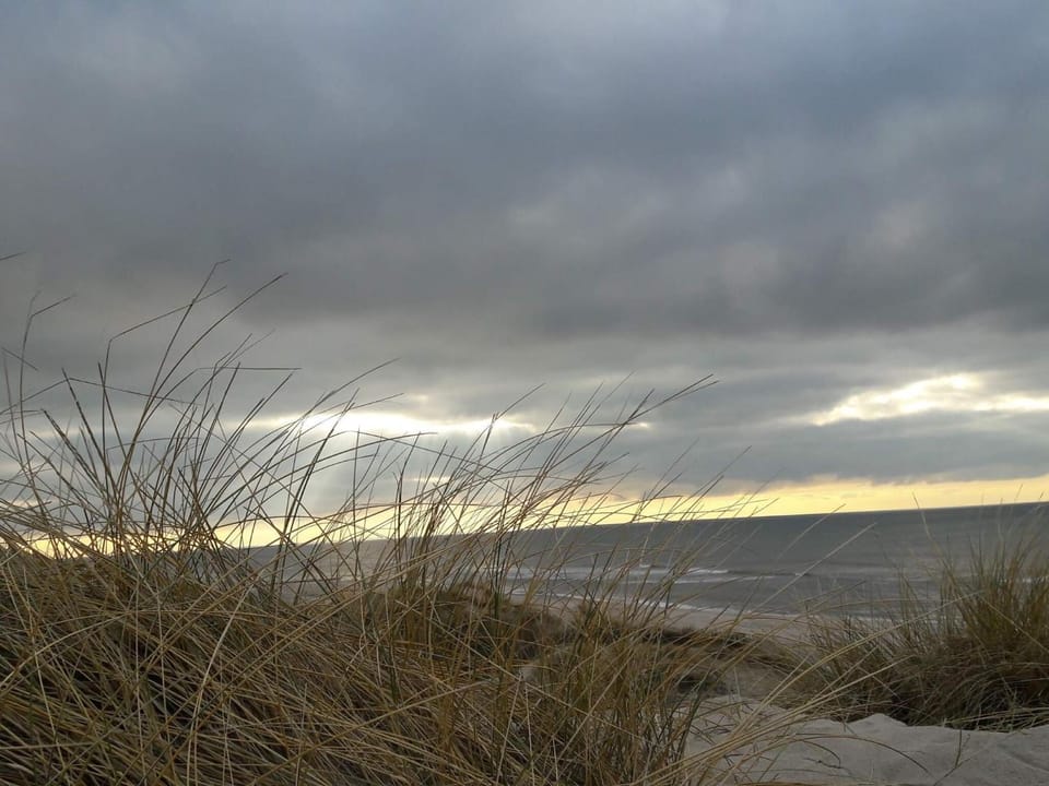 Lake view