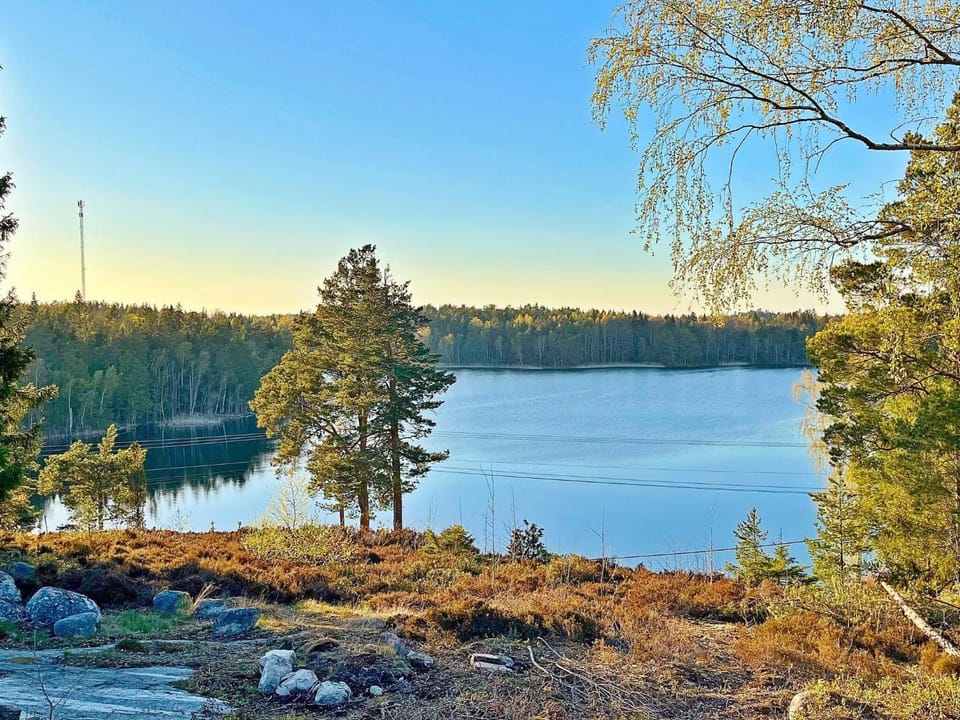 Lake view