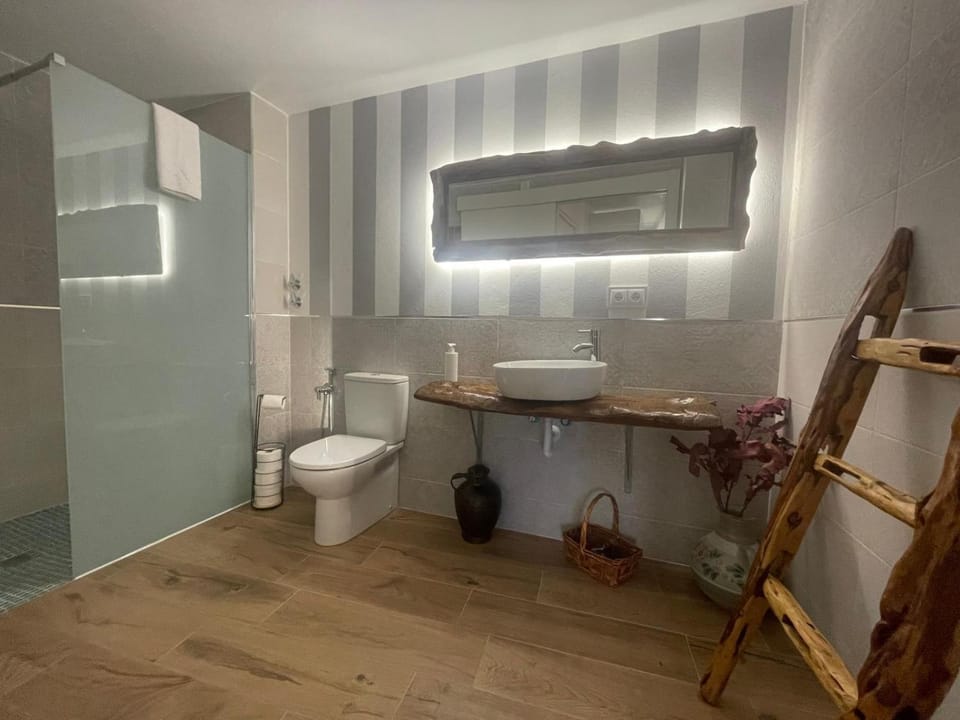 Shower, Toilet, Bathroom, bidet