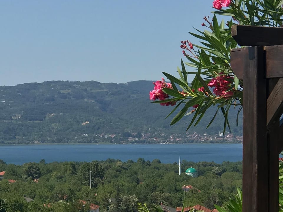 Lake view