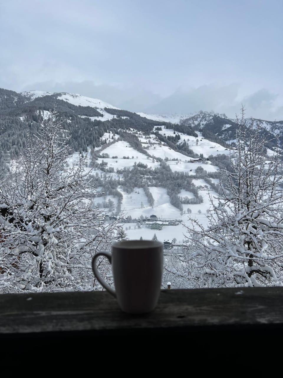 Mountain view