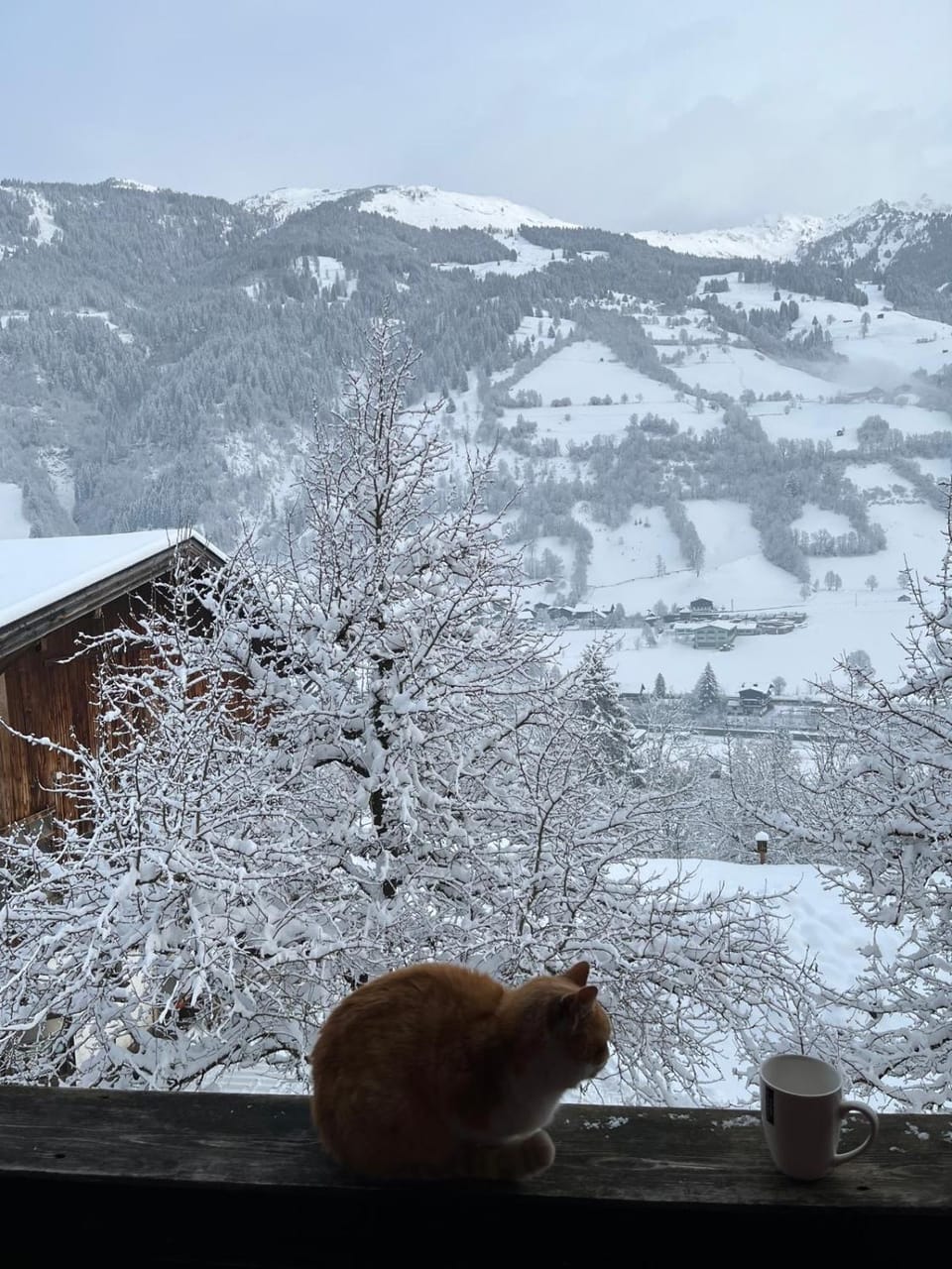 Mountain view