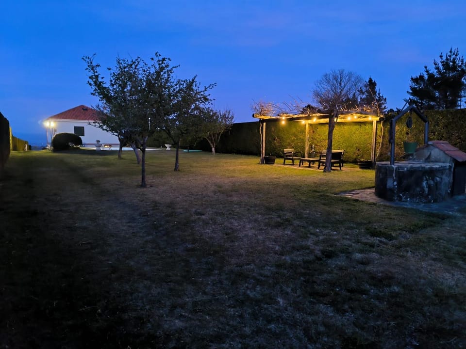 Night, Natural landscape, Garden