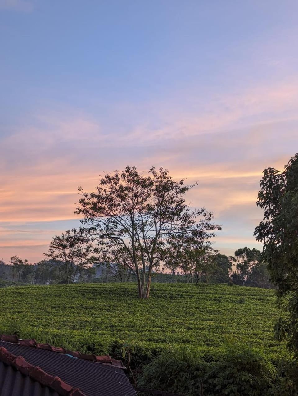 Katugaha Homestay House in Uva Province, Sri Lanka