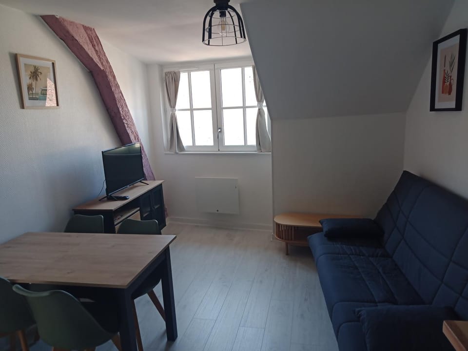 Communal lounge/ TV room, Living room