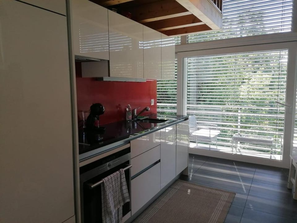 Kitchen or kitchenette, dishwasher, pet friendly