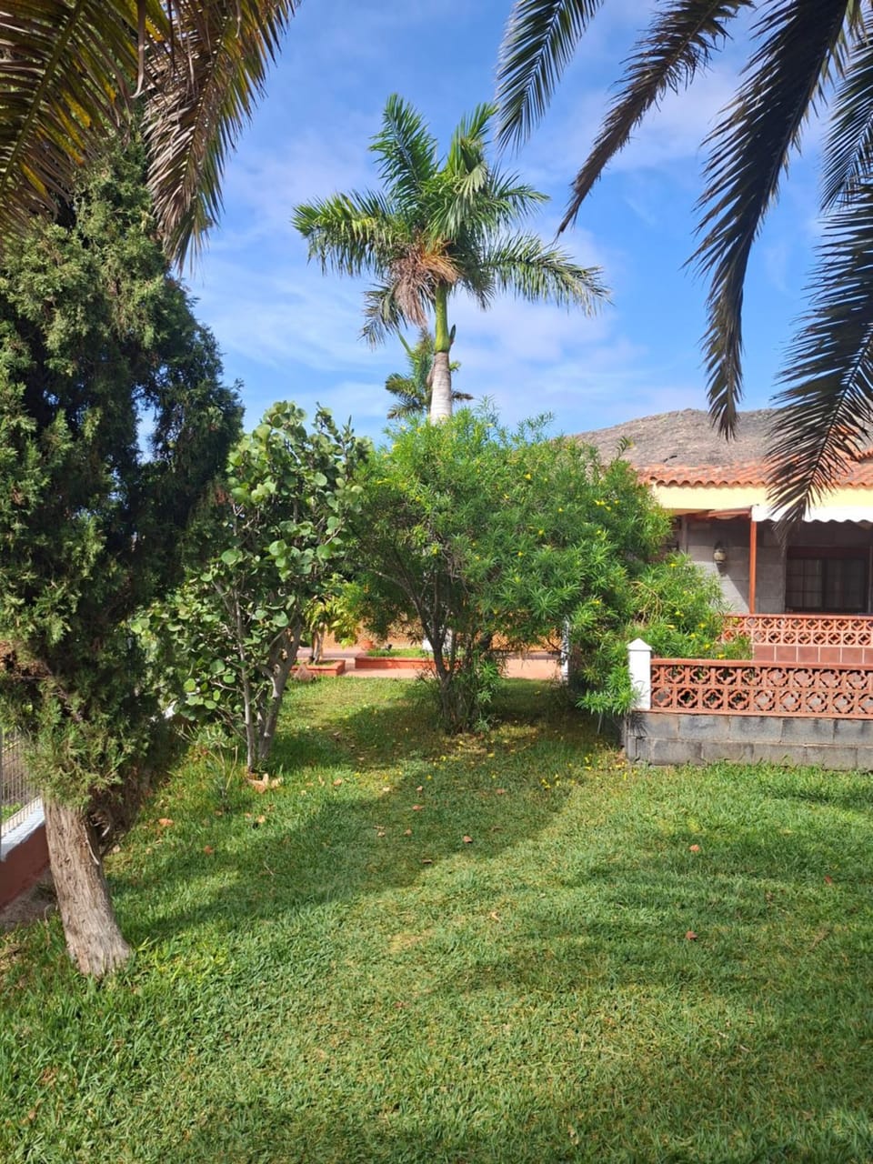 Wonderland Villa Tierra Fértil Los Gigantes Apartment in Canary Islands