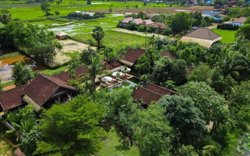 Property building, Spring, Day, Neighbourhood, Natural landscape, Bird's eye view, Garden, City view, Garden view, Street view