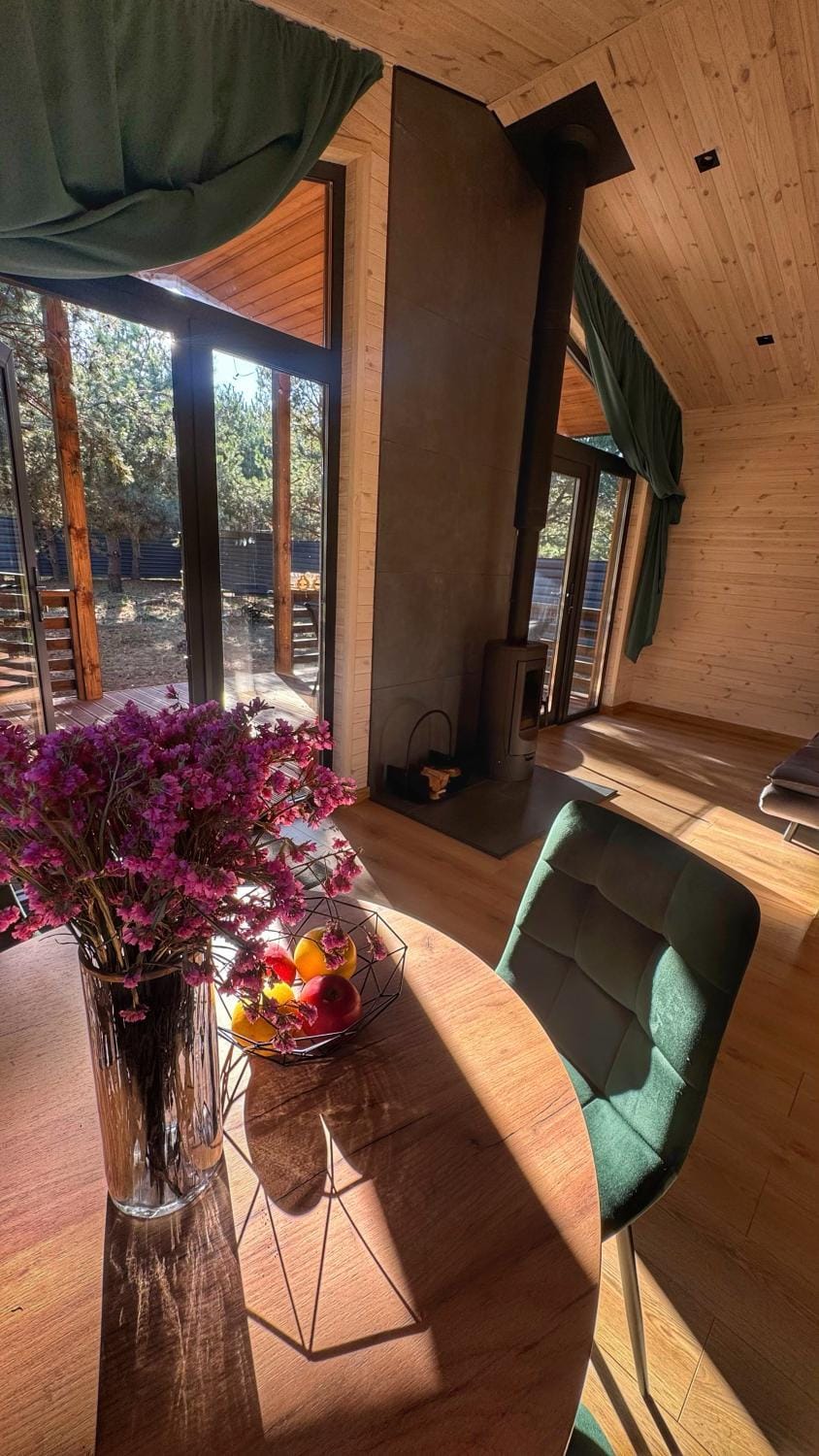 Living room, Seating area, Garden view, fireplace