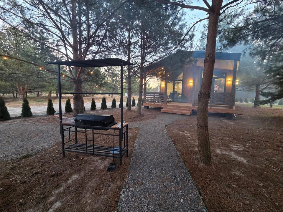 Patio, Spring, Natural landscape, BBQ facilities