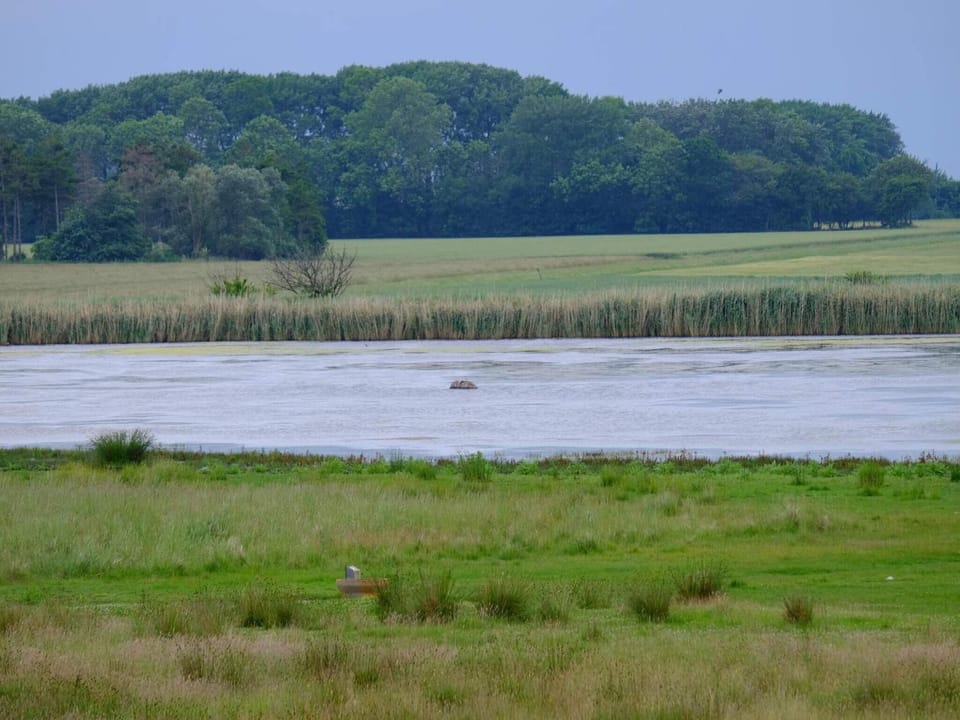 Lake view