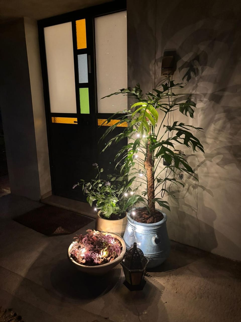 Night, Garden