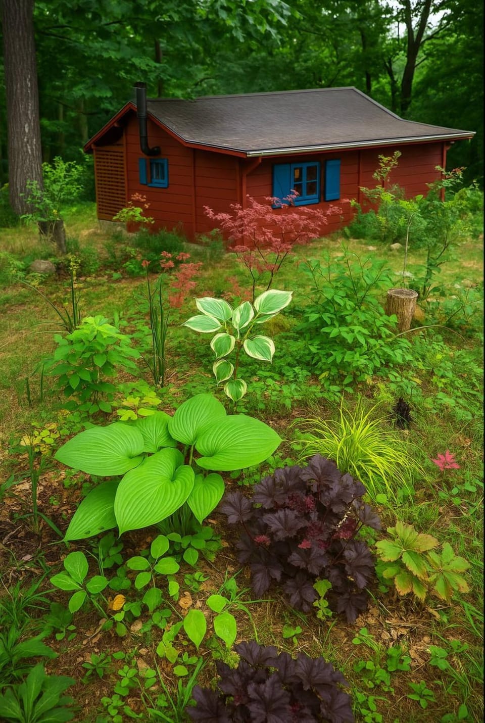 Property building, Spring, Day, Natural landscape, Garden, Garden view