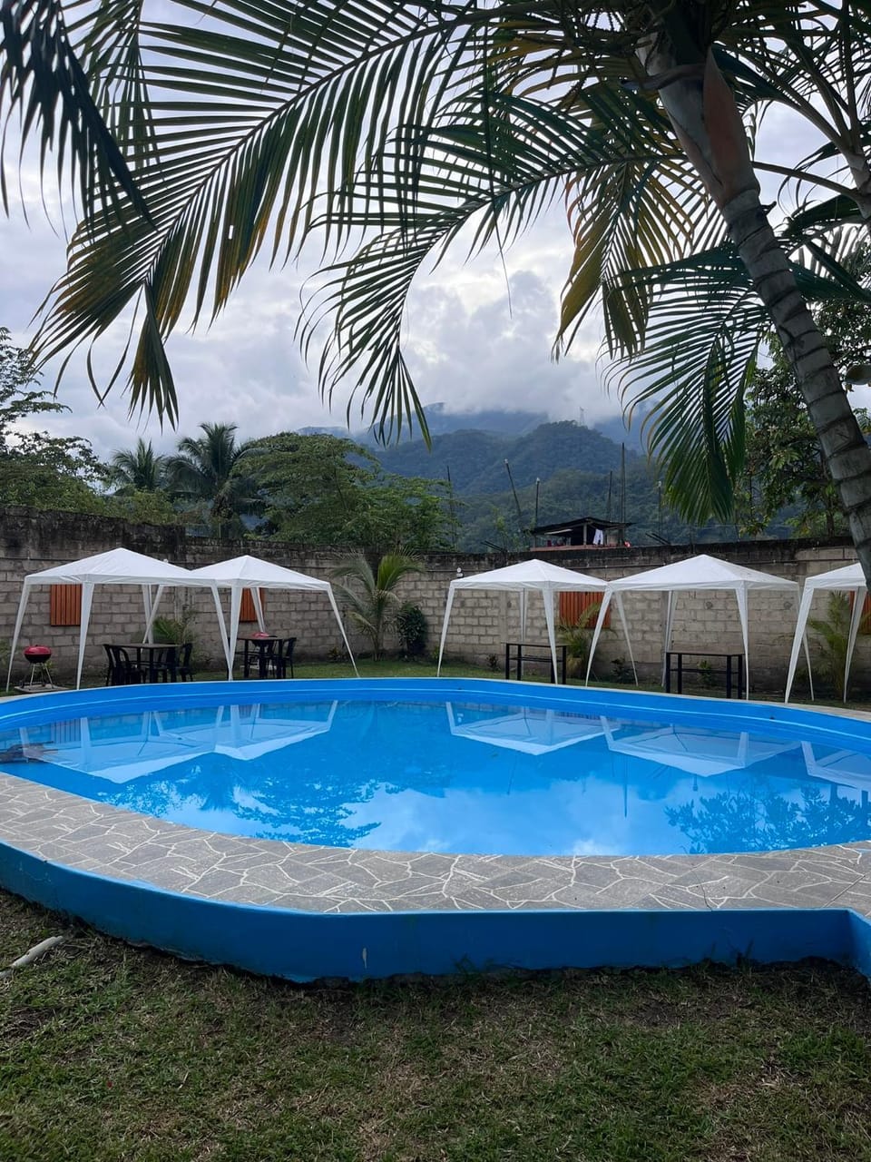Garden view, Pool view, Swimming pool