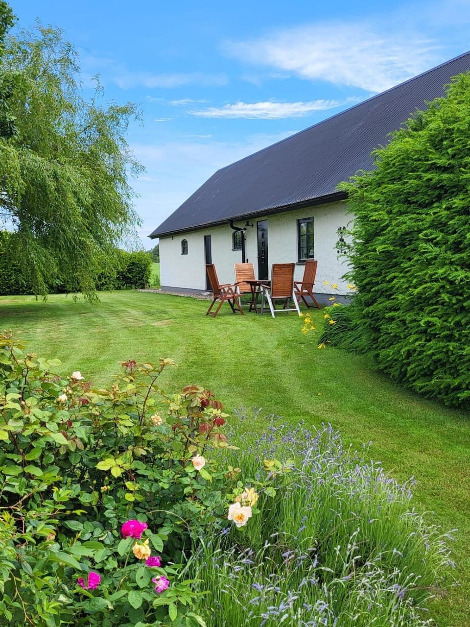 Property building, Garden, Garden view