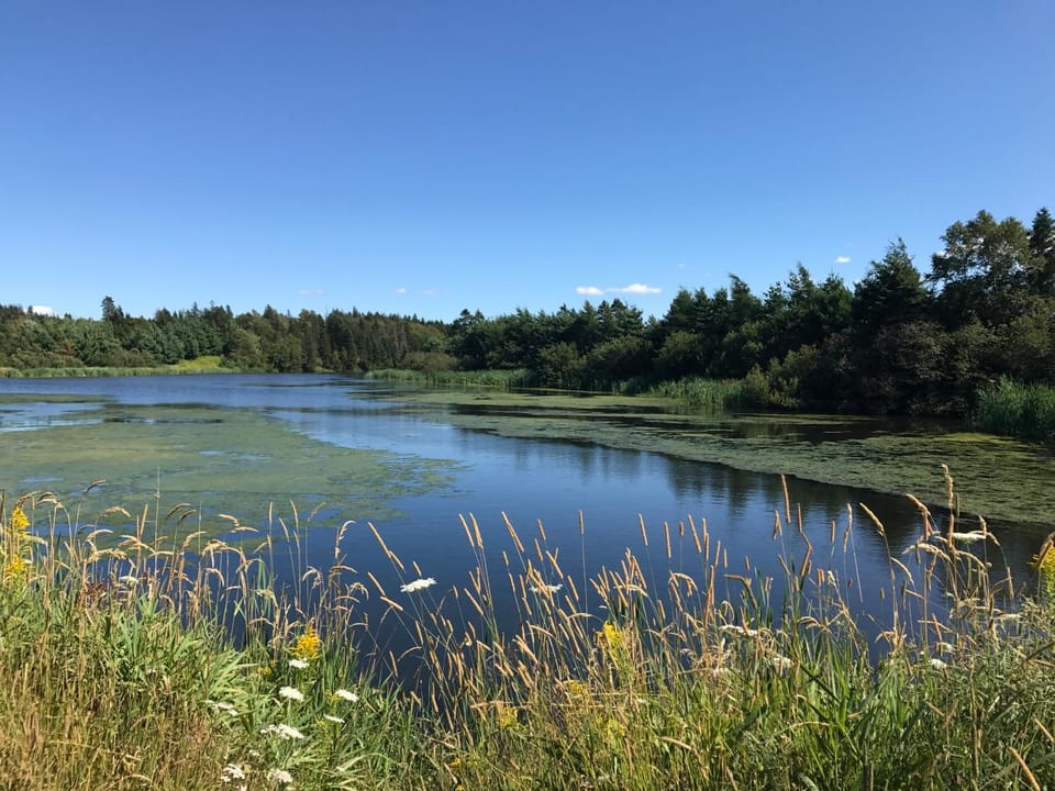 River view