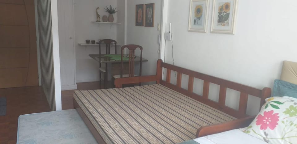 Terê Lounge Apartment in State of Rio de Janeiro