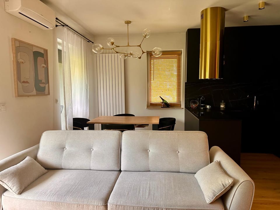 Kitchen or kitchenette, Living room, Seating area, Dining area, air conditioner