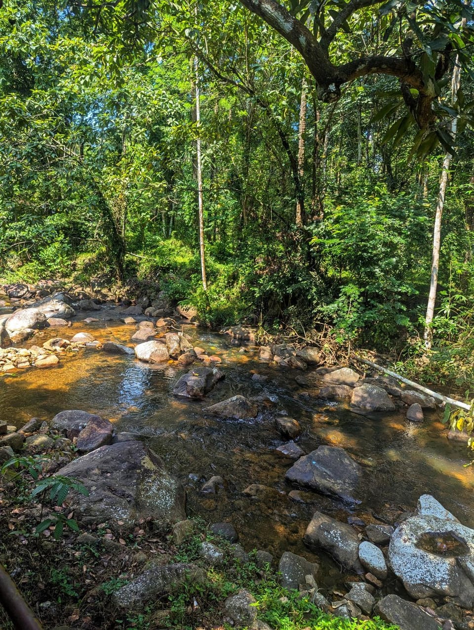 Natural landscape, River view