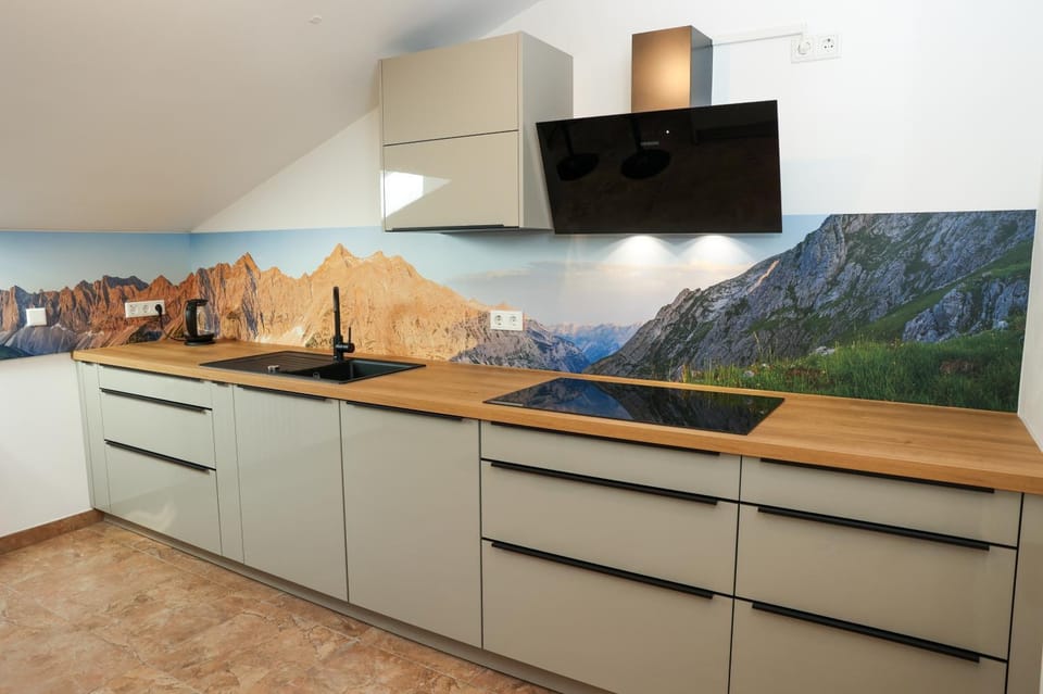 Kitchen or kitchenette, kitchen