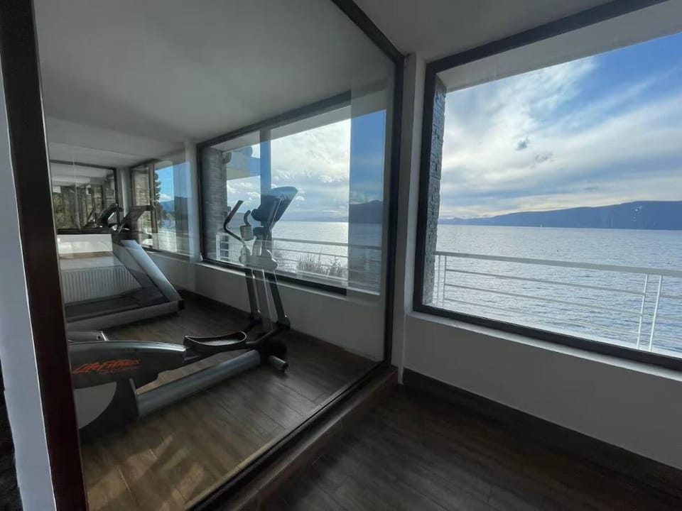Panoramic View Lake Shore Apartment in Pucon