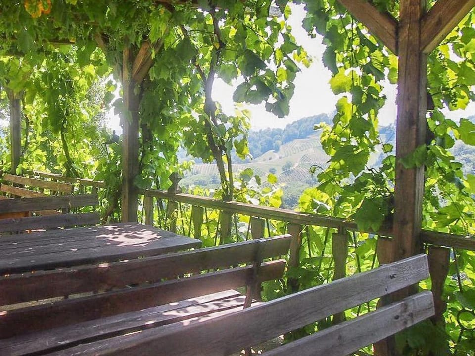 Pension Kreuzberghof Bed and Breakfast in Styria