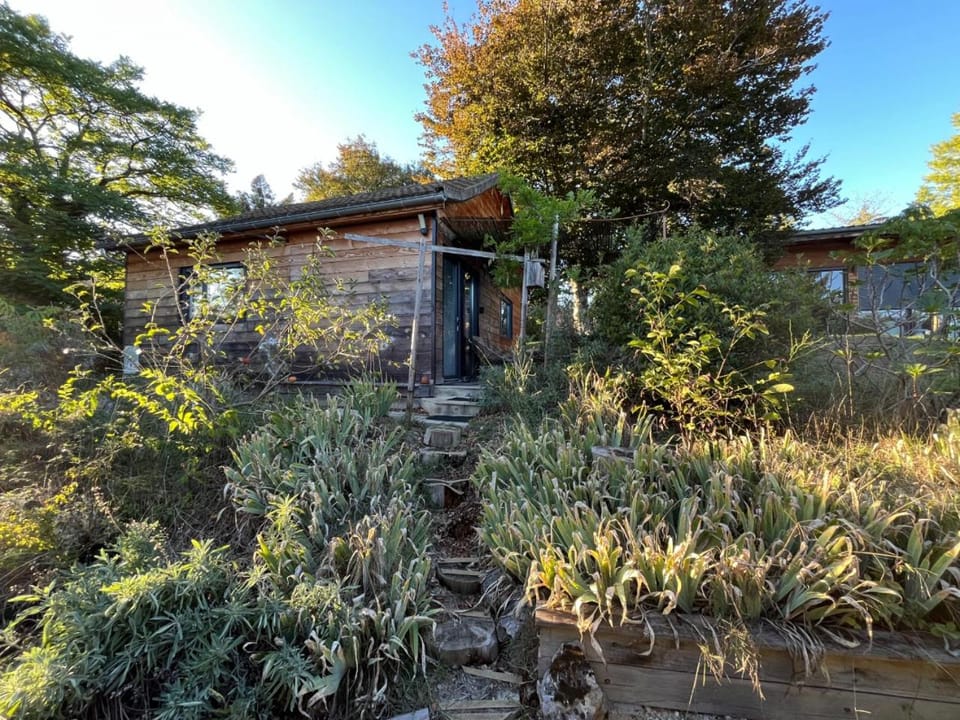 Property building, Garden