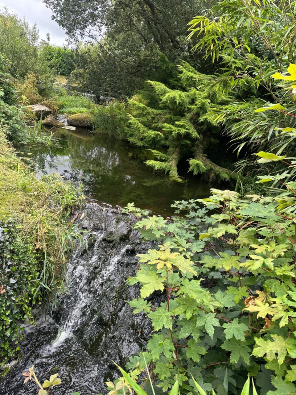 Swan lake lodge Apartment in Wales