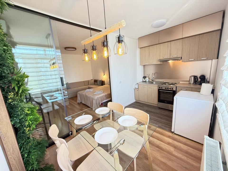 Kitchen or kitchenette, Dining area, stove