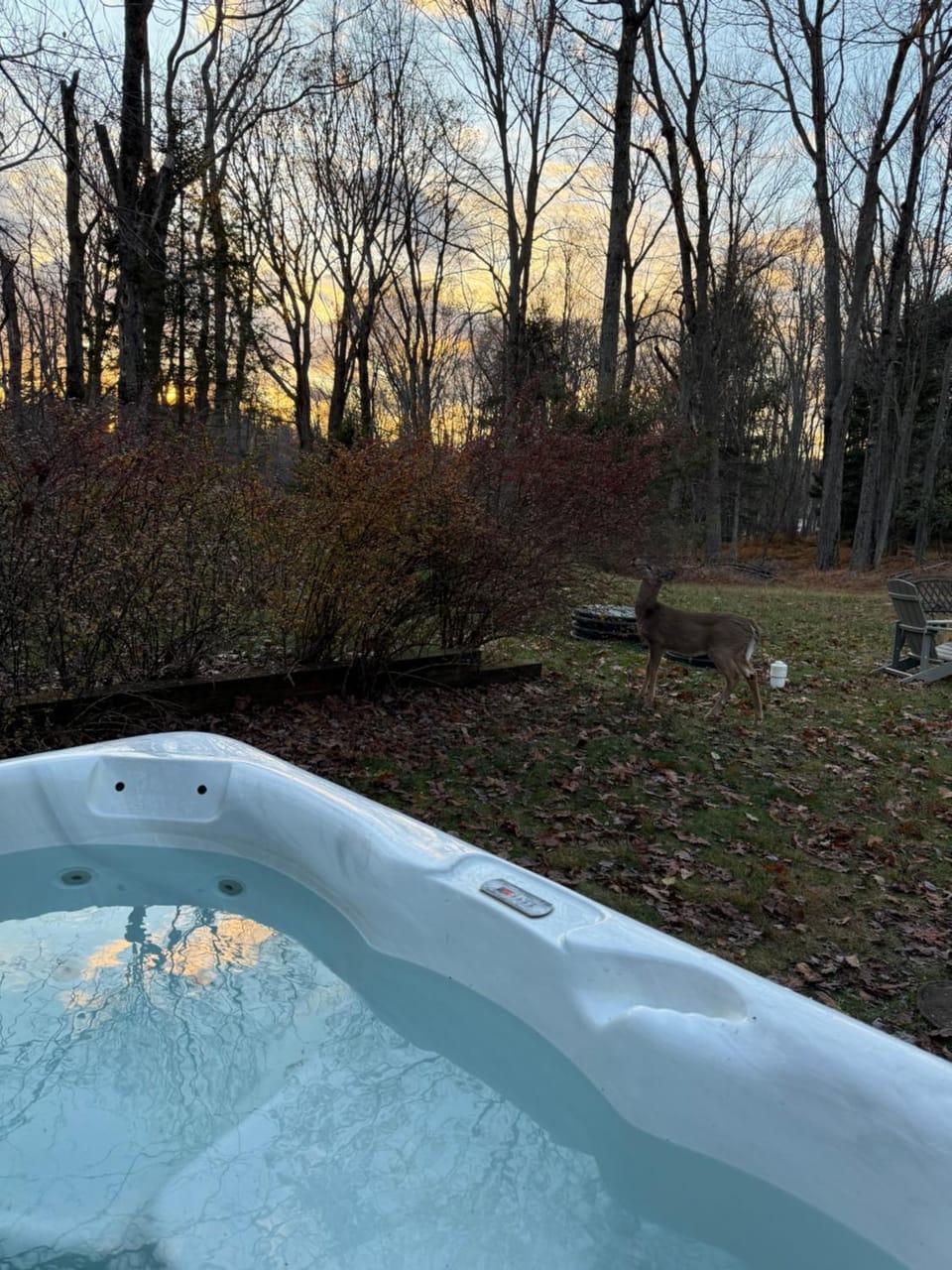 Natural landscape, Garden, Hot Tub, Sunset