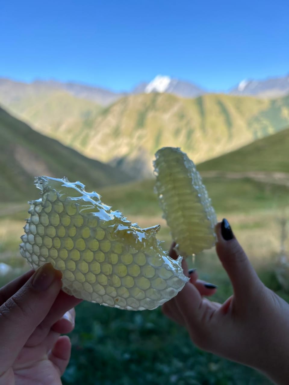 Mountain view