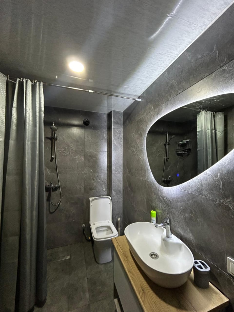 Shower, Toilet