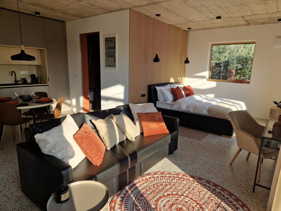 Bed, Living room, Photo of the whole room