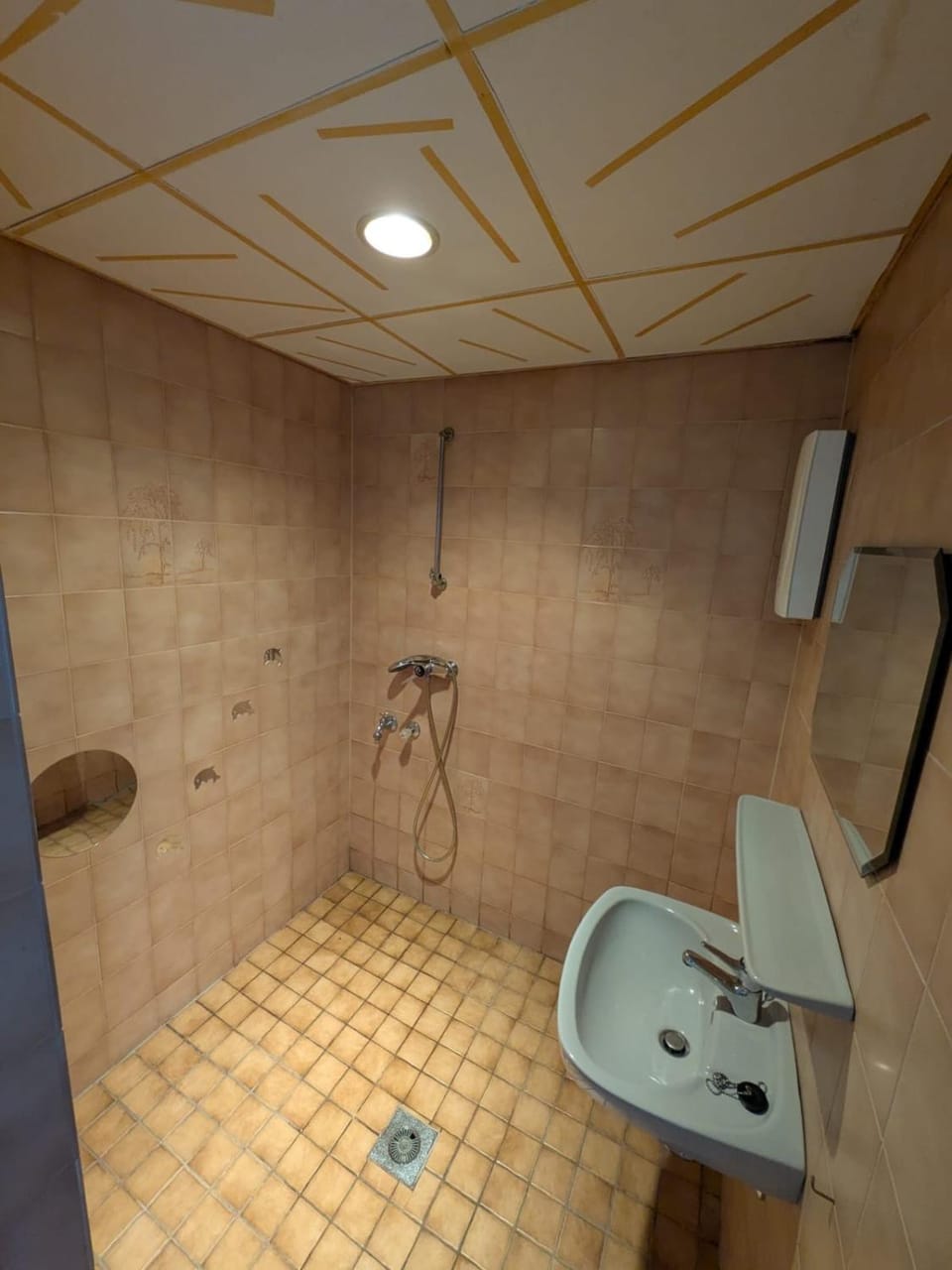 2 Zimmer Appartment für 3 Personen und Terrasse Apartment in Mainz-Bingen