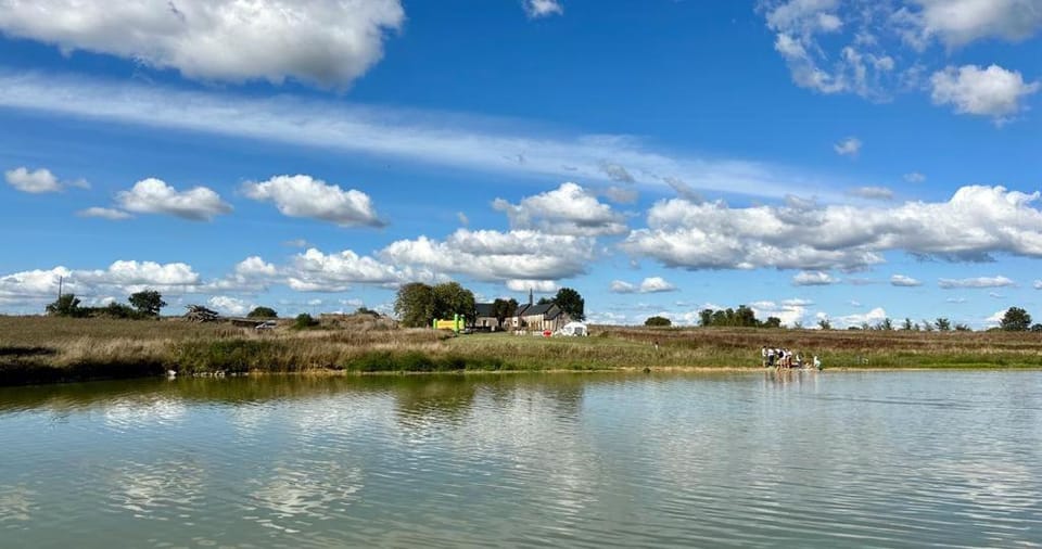 Natural landscape, Garden, Lake view
