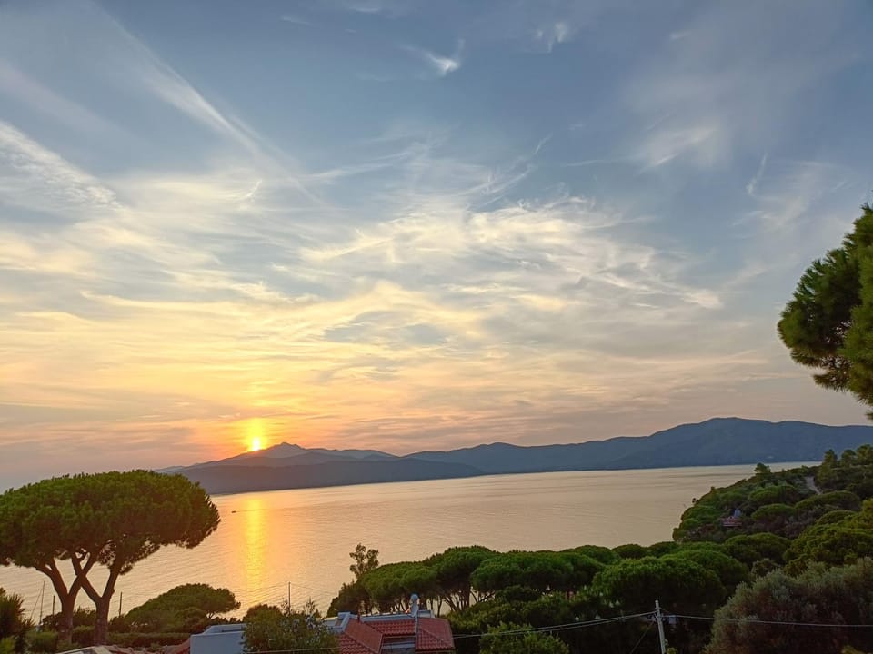 Colibri41elba-Mami Suite Apartment in Tuscany
