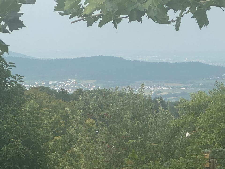 Natural landscape, Balcony/Terrace, Mountain view