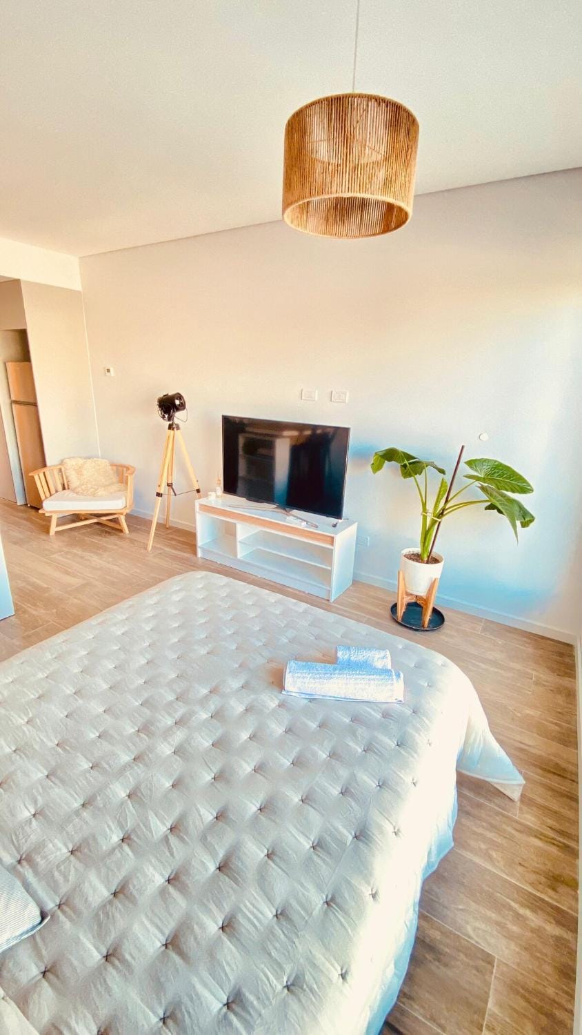 Premium Studio in Downtown Apartment in Neuquen
