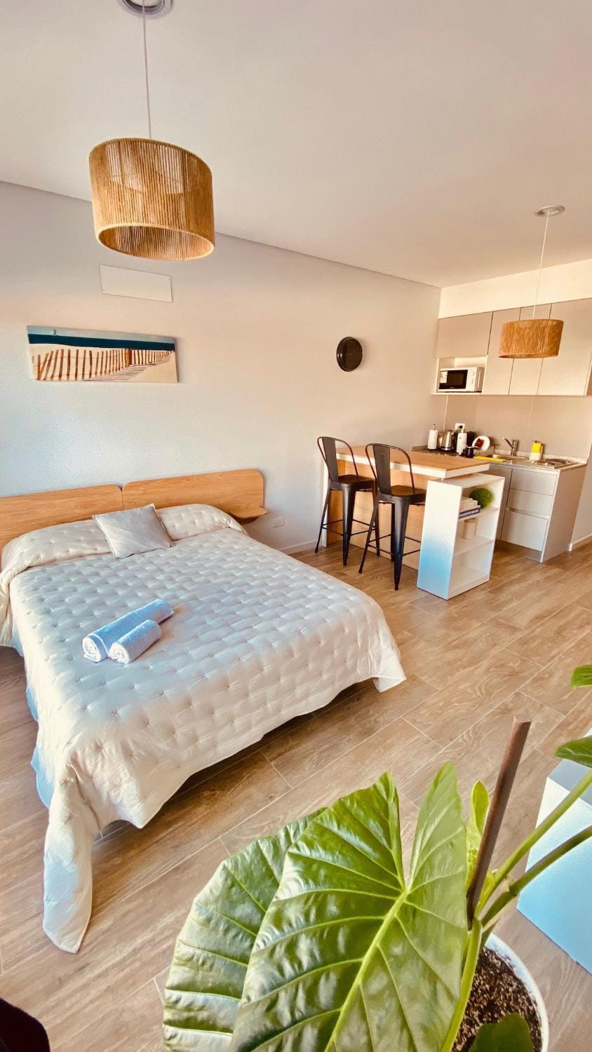Premium Studio in Downtown Apartment in Neuquen