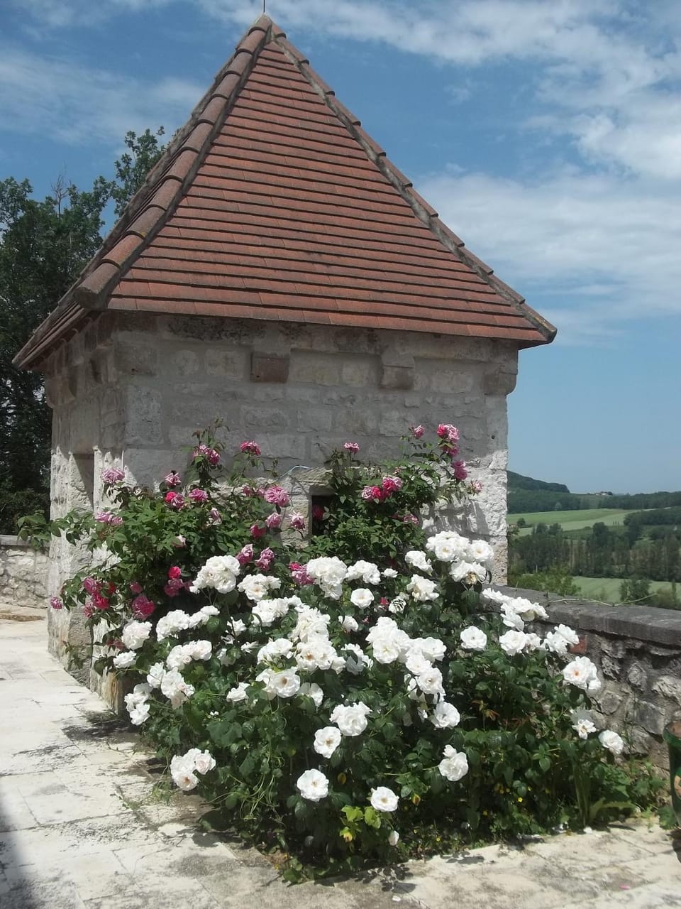 Chateau de Lamothe d'Anthe Country House in Occitanie