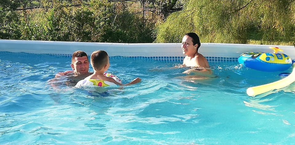 Garden, Swimming pool, Swimming pool