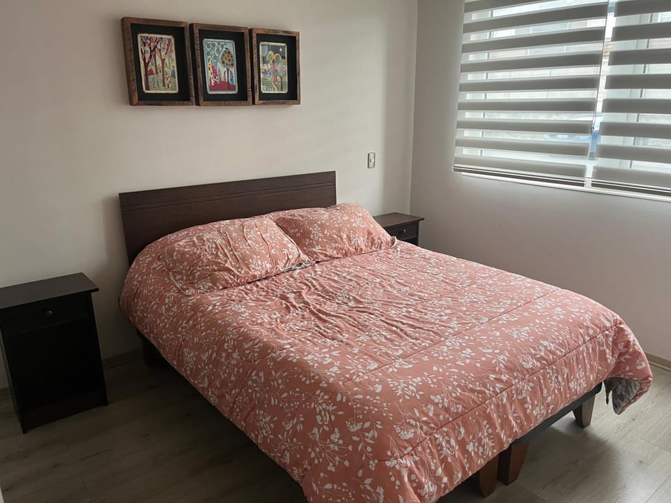 Departamento Pucon Apartment in Pucon