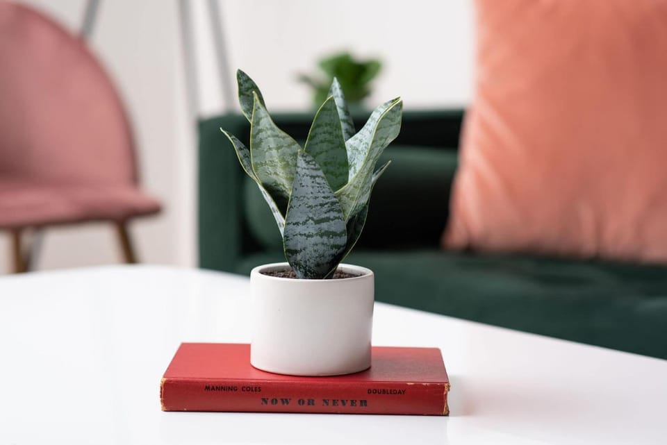 Living room, Decorative detail