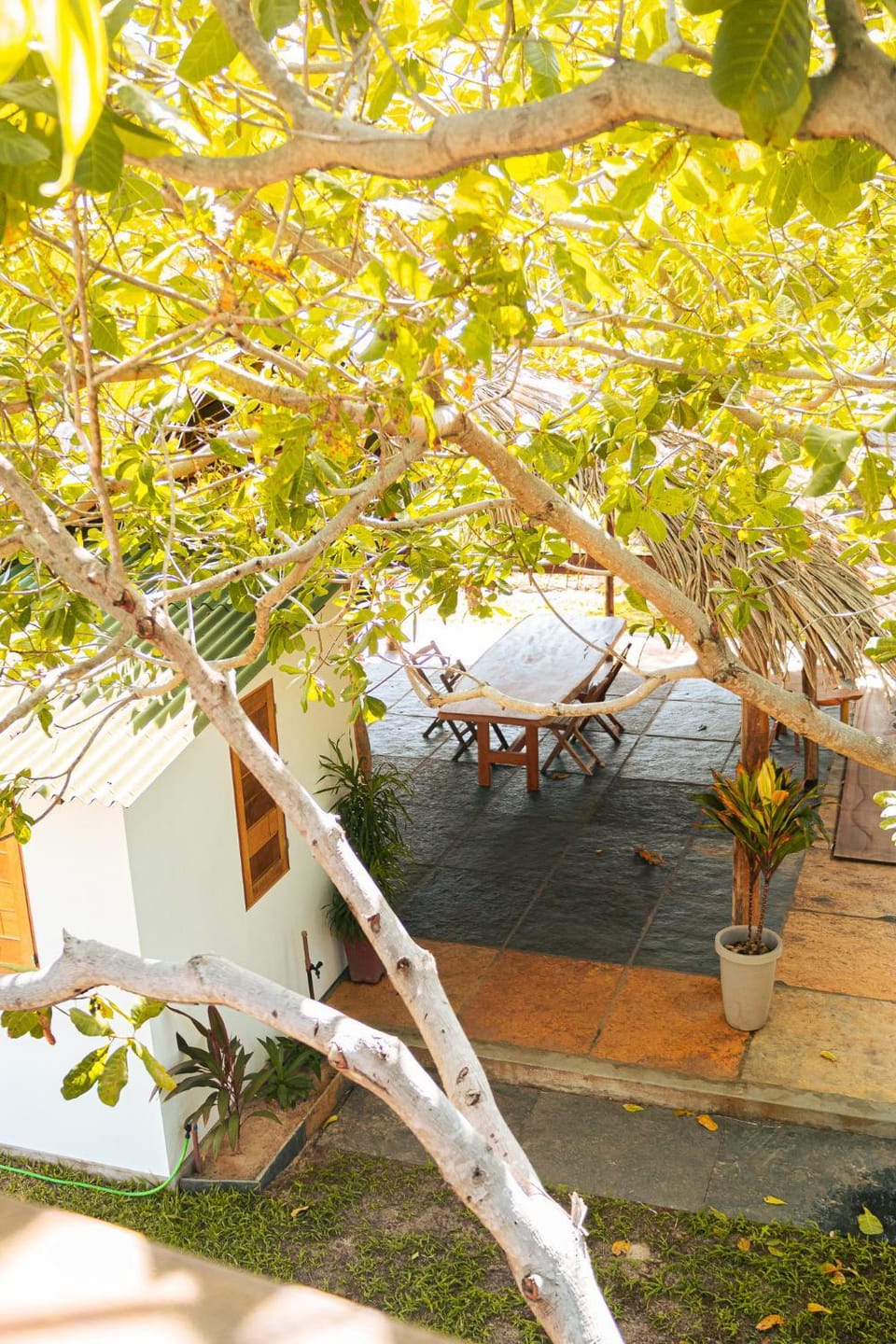 Garden, Dining area, Garden view