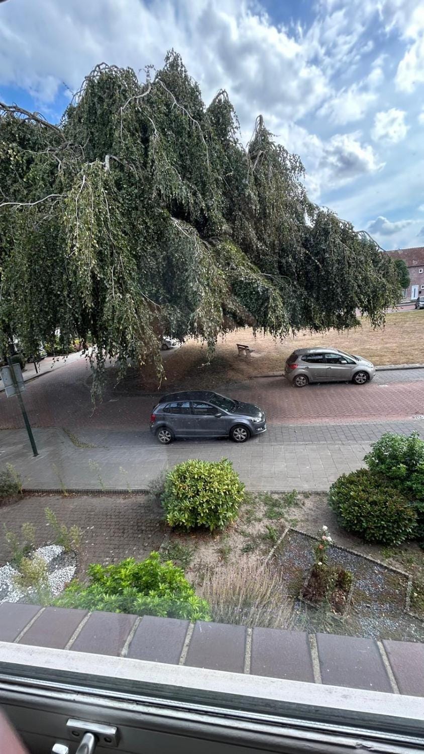 Street view, Quiet street view, Parking