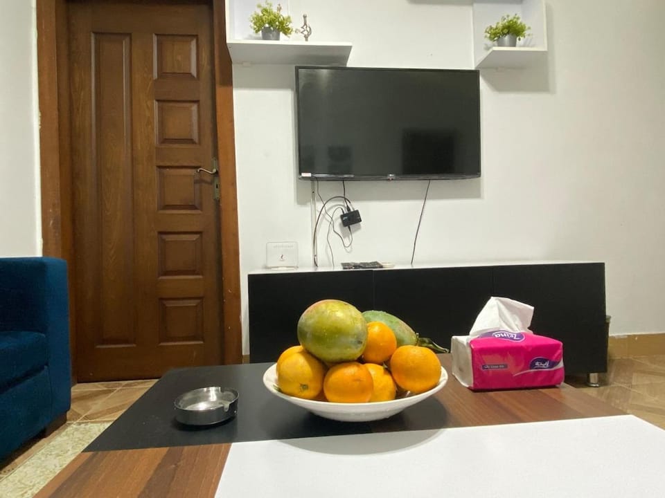 Cozy APT N4 in Amazing Zmalek Island Apartment in Cairo