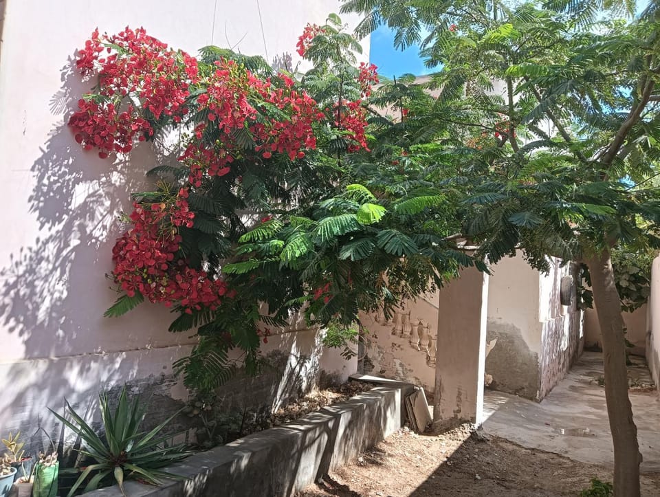 القصر الأزرق Villa in Egypt