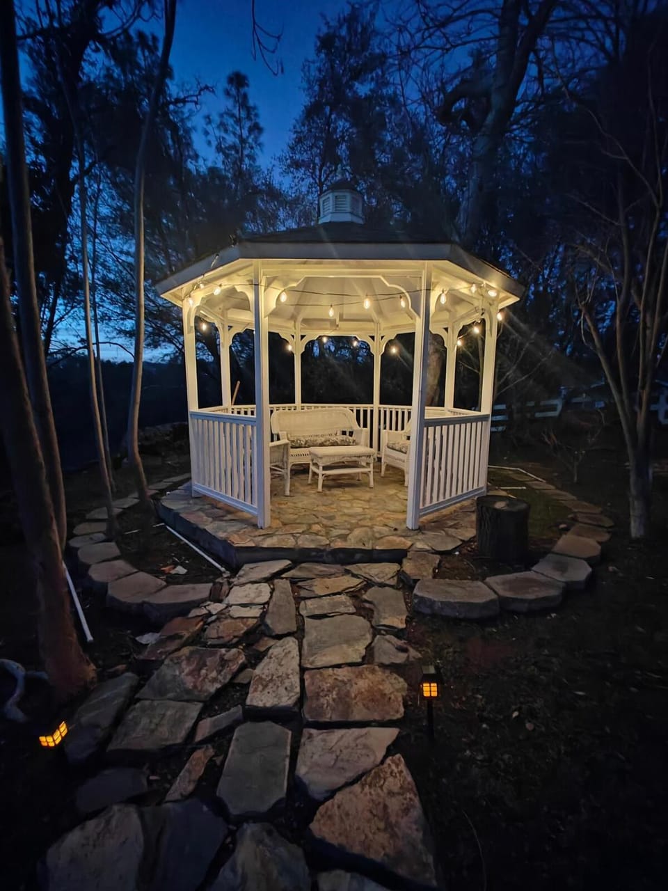 Night, Garden, Garden view